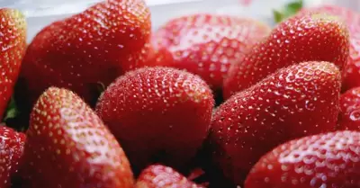 Fresas