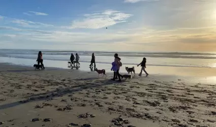 Segunda caminata Juventudes