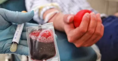 Donación de sangre