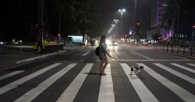 Mujer paseando con perro de raza Shih Tuz
