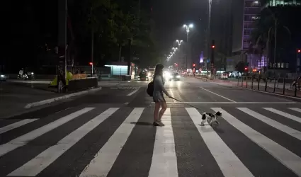 Mujer paseando con perro de raza Shih Tuz