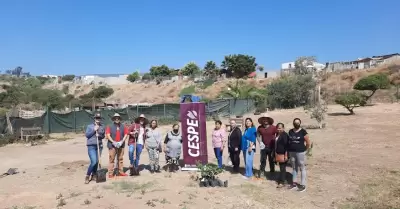 Realiza CESPE jornada de reforestaci�n en Los Encinos