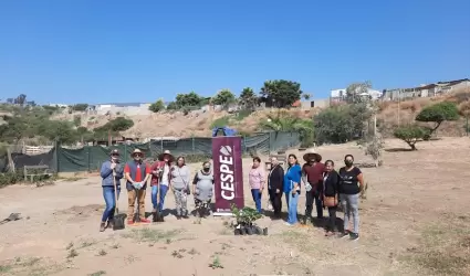 Realiza CESPE jornada de reforestaci�n en Los Encinos