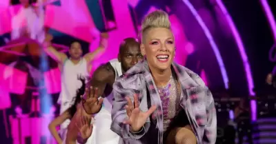 Pink rechazó las cenizas que le lanzó un fan.