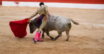 Torero haciendo corrida de toros con traje de torero