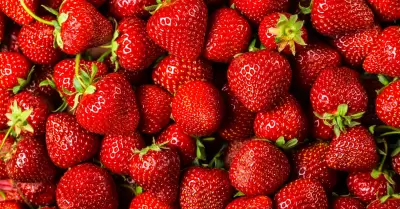 Fresas