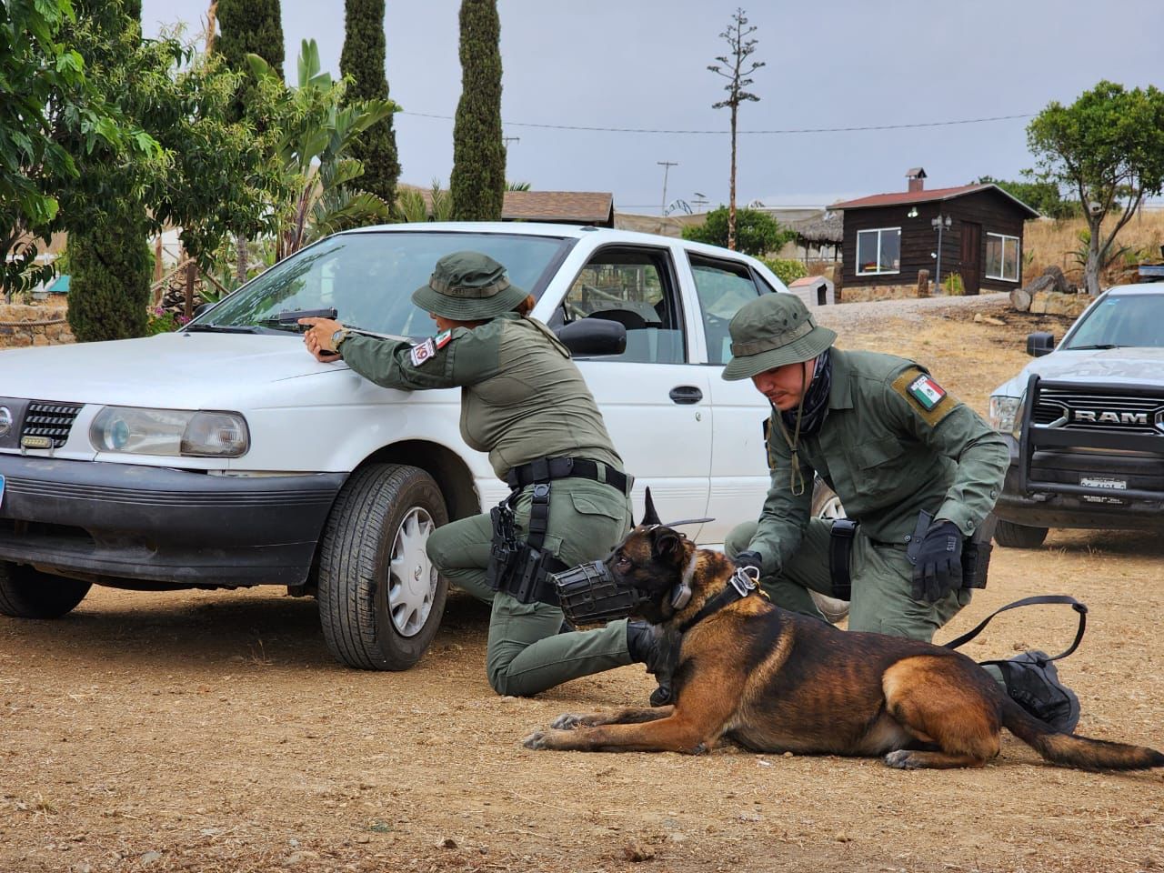 Certifica SSCBC a agentes de K9 de instituciones y empresas de ...