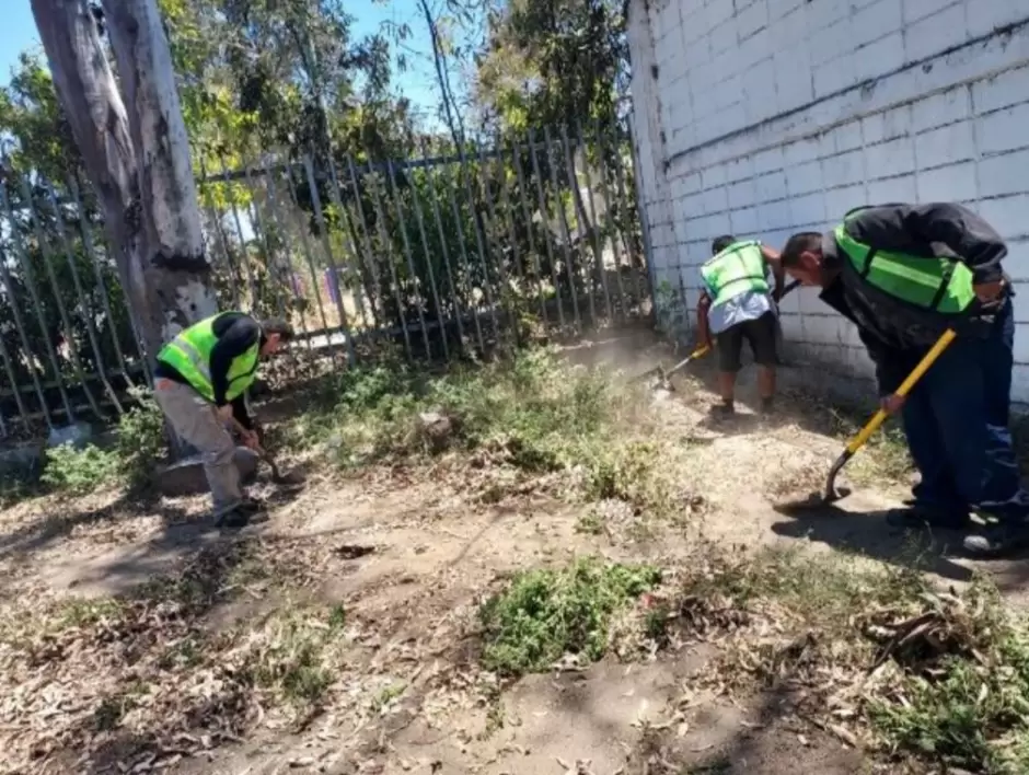 Programa de reinsercin