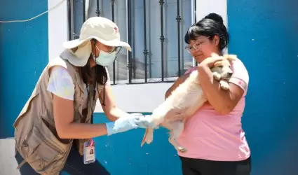 Intensifica Secretar�a de Salud de BC acciones contra la garrapata caf� del perr