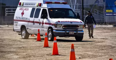 Curso terico y prctico sobre Actualizacin de Conocimientos en Manejo Defensiv