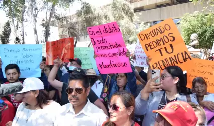 Manifestacin de diputado