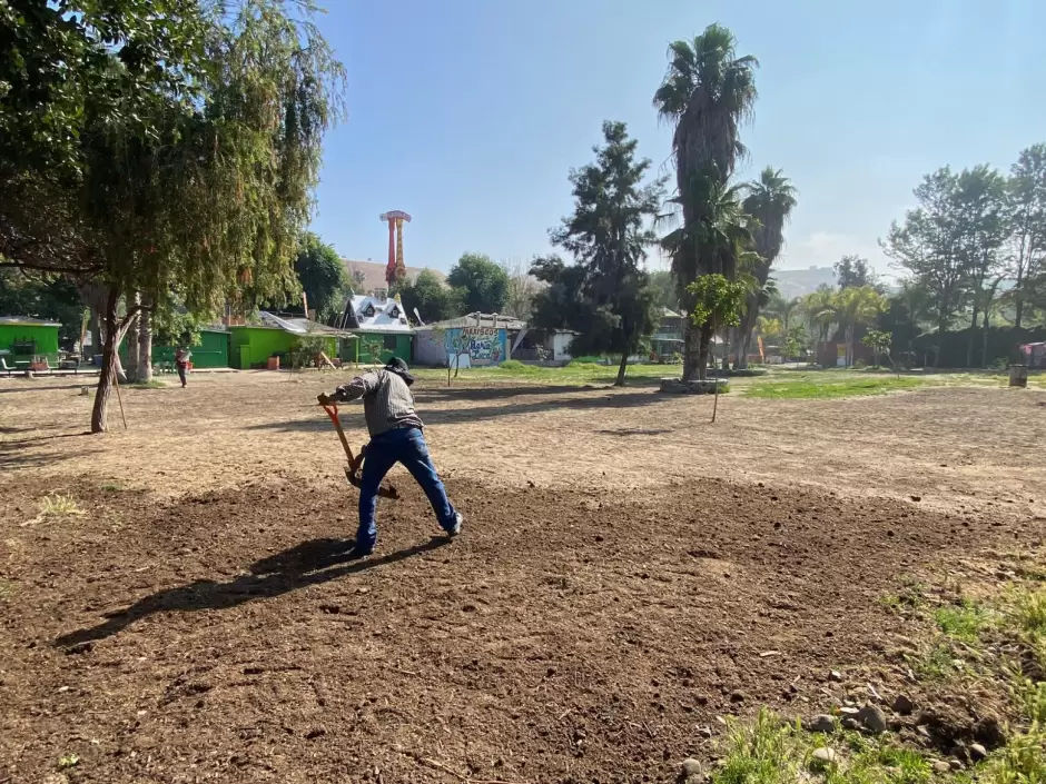 Rehabilitacin de nueva rea verde en Parque Morelos