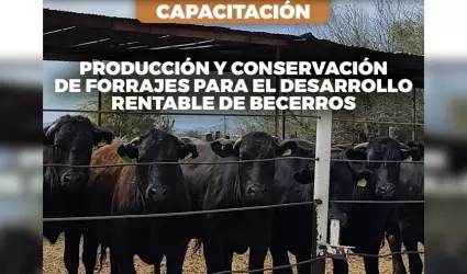 Capacitacin sobre la produccin y conservacin de forrajes