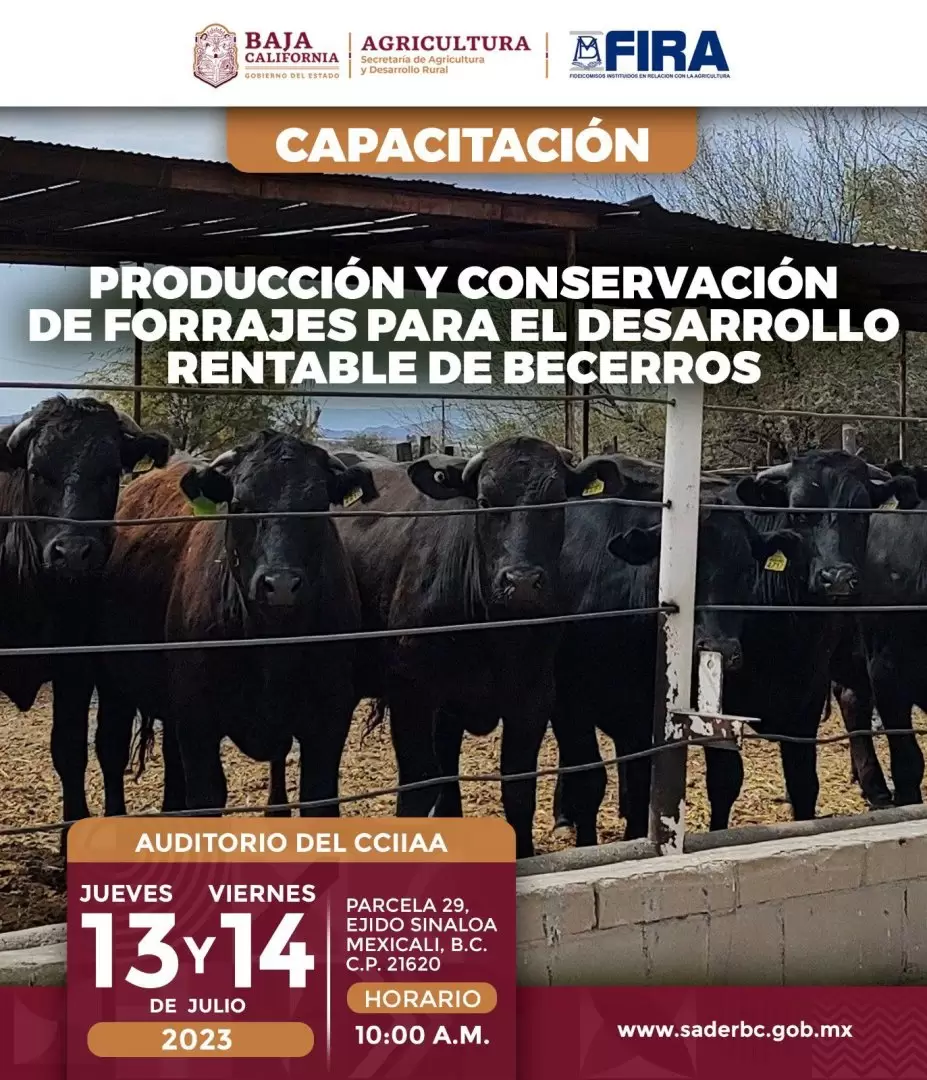 Capacitacin sobre la produccin y conservacin de forrajes