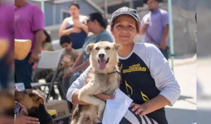 Refuerza SS medidas contra la Rickettsia en comunidades de Ensenada