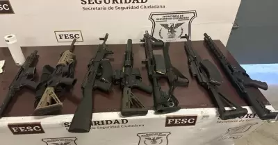 Armas de fuego