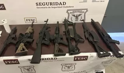 Armas de fuego