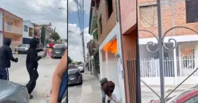 Gato asesinado
