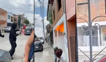 Gato asesinado