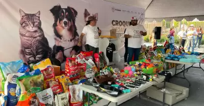 Feria de las mascotas