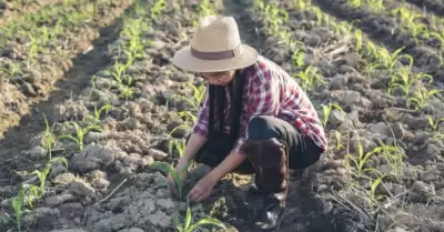 Foro alimentario en Ensenada