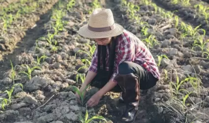Foro alimentario en Ensenada