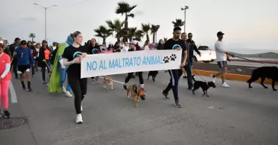 Caminata por el Bienestar Animal