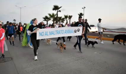 Caminata por el Bienestar Animal