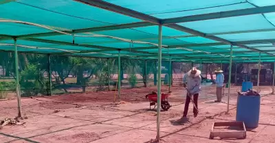 Es la reactivaci�n del vivero e invernadero de CESPM una apuesta por la forestac