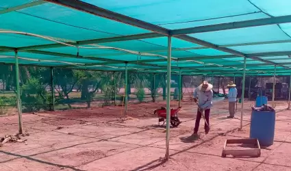 Es la reactivaci�n del vivero e invernadero de CESPM una apuesta por la forestac