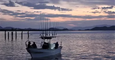 Arranca segunda etapa del campeonato internacional de pesca deportiva "Copa Baja