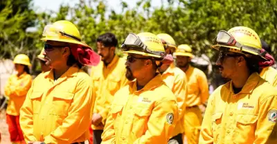 Combatientes de incendios forestales