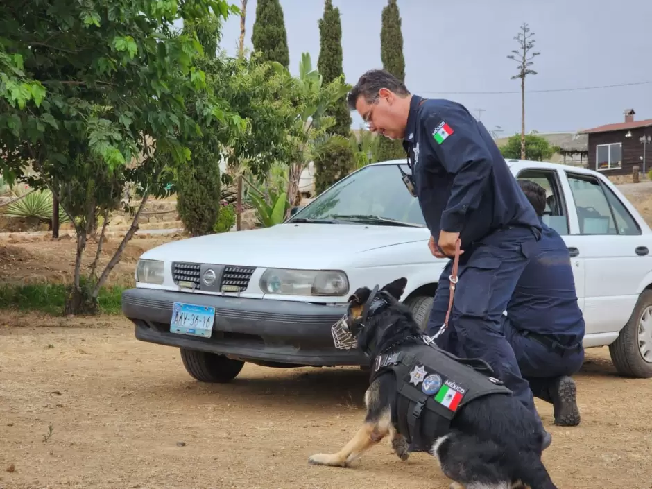 Certifican a agentes de K9 de instituciones y empresas de seguridad