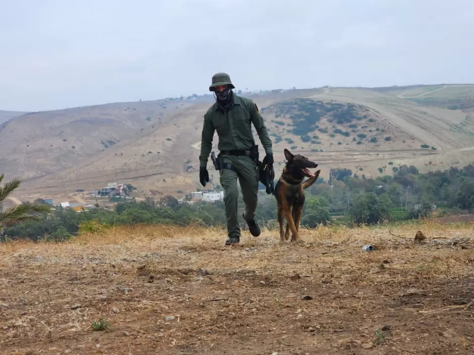 Certifican a agentes de K9 de instituciones y empresas de seguridad