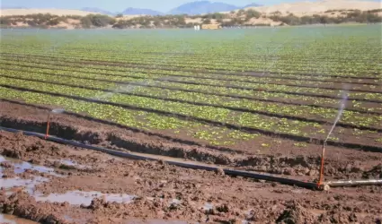 Ahorros de Tarifas Elctricas de productores agrcolas