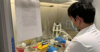 Dise�an mol�culas para potenciar efecto de estr�genos en tratamientos