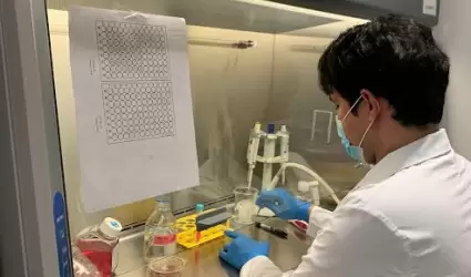 Dise�an mol�culas para potenciar efecto de estr�genos en tratamientos