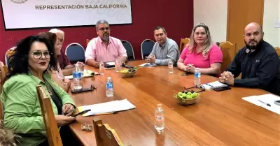 Buscan productores de BC la Certificaci�n de Zona Libre de Mosca del Higo Negro