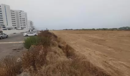 Movimiento ilegal de tierra cerca de La Lagunita