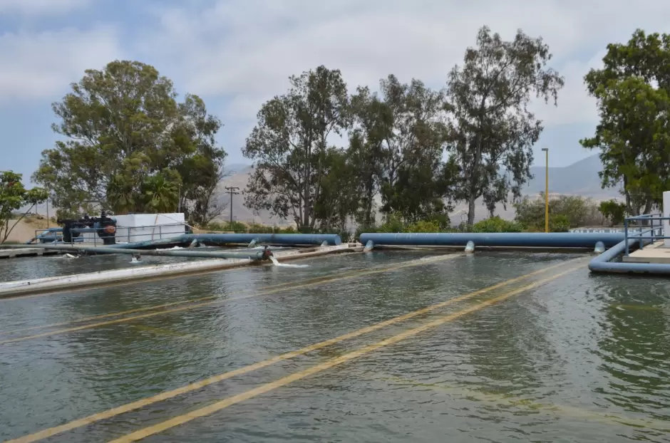 Abasto de agua para este verano