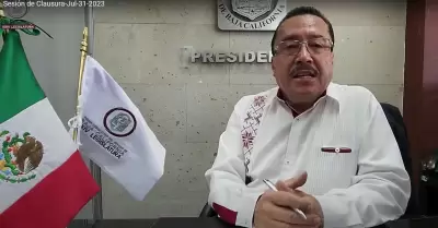 Diputado Manuel Guerrero Luna