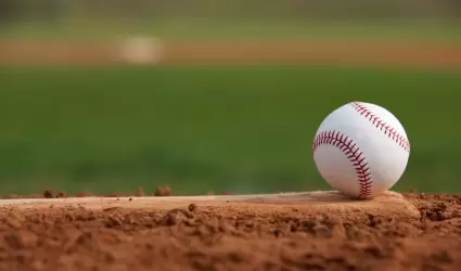 Pelota de beisbol