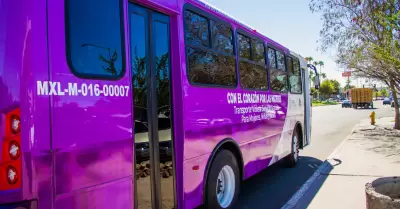 Rutas del Transporte Violeta para mujeres, niñas y niños
