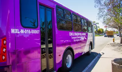 Rutas del Transporte Violeta para mujeres, ni�as y ni�os