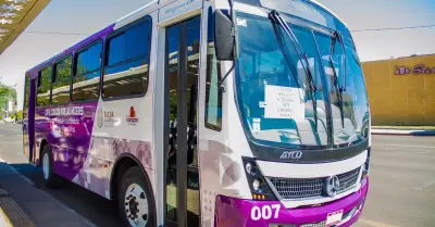 Rutas del Transporte Violeta para mujeres, nias y nios