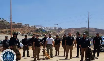 Obtiene certificaci�n de nivel internacional Unidad Canina k9 de la Fiscal�a Gen