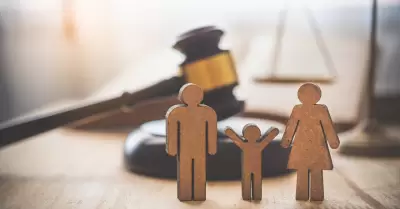 Procedimientos civiles y familiares