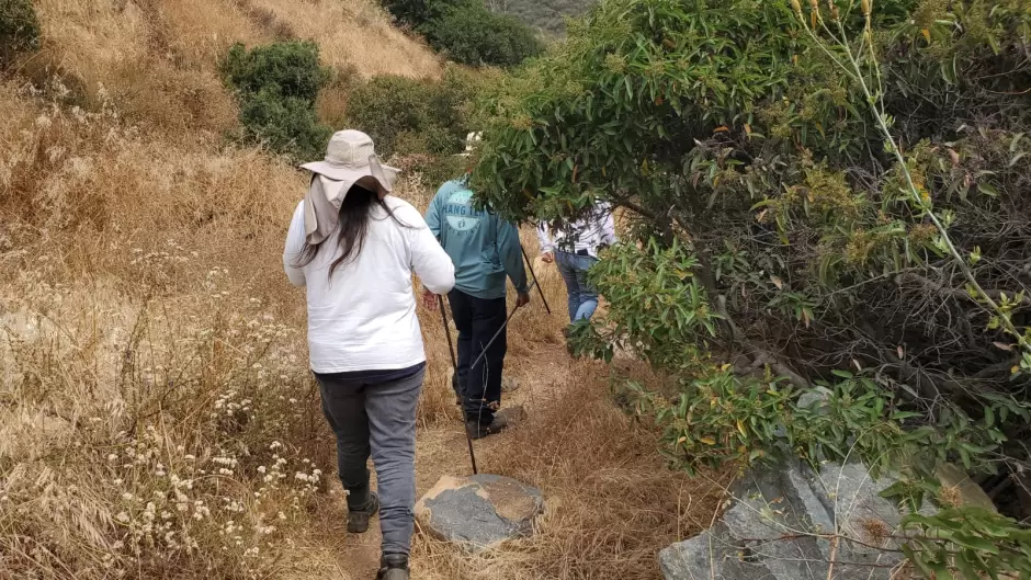 Hallazgo de 8 osamentas en terrenos aledaos a la carretera Tijuana - Tecate