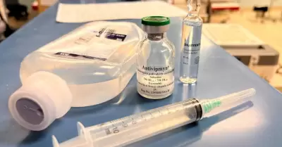 Emite Jurisdicci�n de Salud Ensenada recomendaciones para prevenir mordeduras de