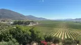 Valle de Guadalupe